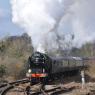  Tornado on its maiden run at Romsey Station.