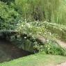 The 'Rose Bridge'