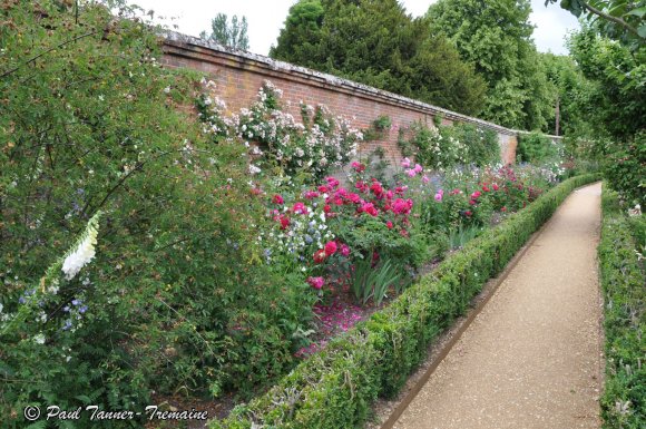 In the walled garden