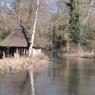 Cottage on the River Test