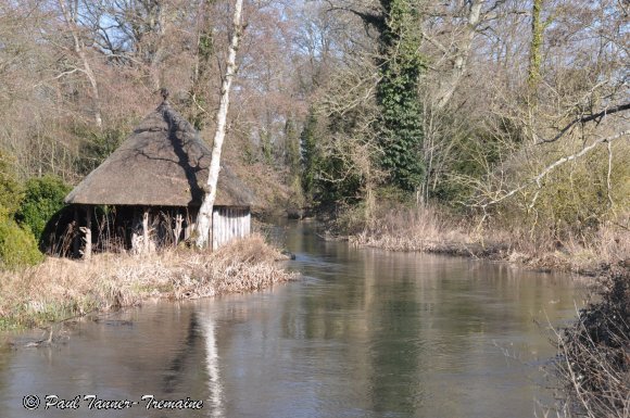 Cottage on the River Test