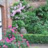 In the garden