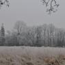 Winter Scenes